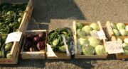 Marché des producteurs