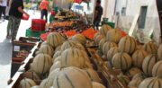 Marché dominical de Châteaurenard