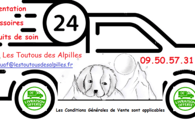 Les toutous des Alpilles