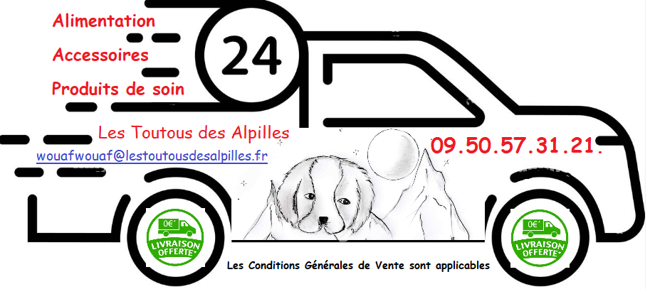 Les toutous des Alpilles