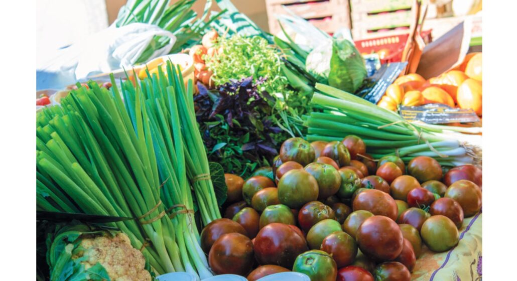 Les Mercredis des Producteurs_Châteaurenard