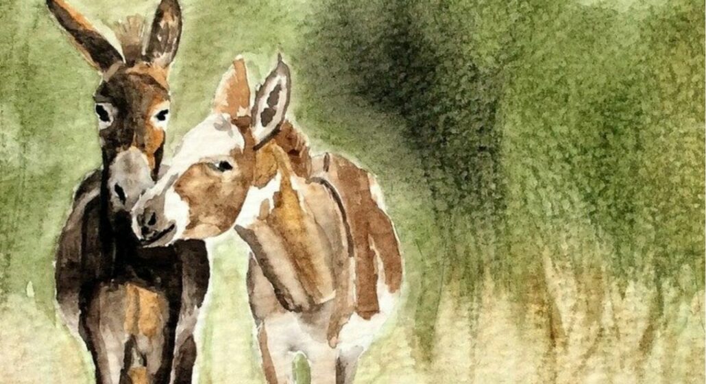 Contes de Provence_Châteaurenard